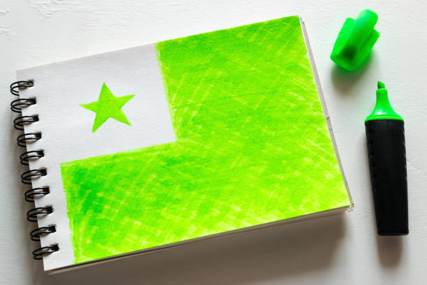 flag of esperanto in notebook on white background