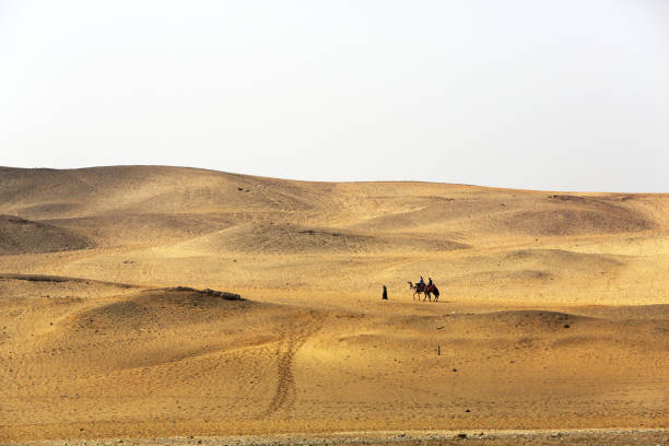 istock Tuareg with camel on Desert in Egypt 1006811124