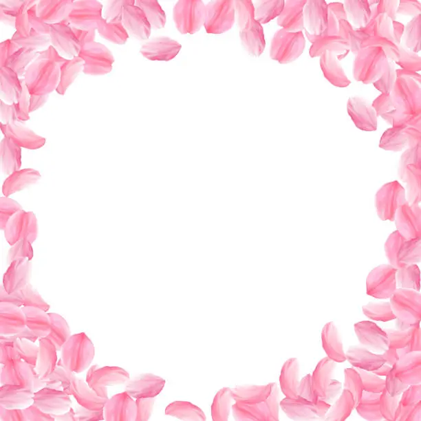 Vector illustration of Sakura petals falling down. Romantic pink bright big flowers. Thick flying cherry petals. Corner fra