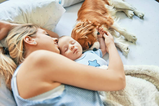 mother napping with her baby and puppy stock photo