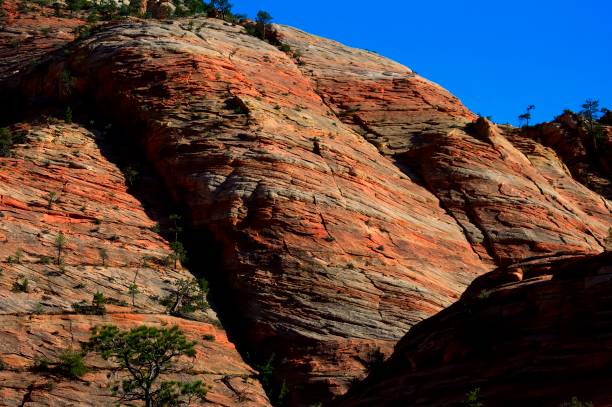 istock Late afternoon in Zion 1006865170