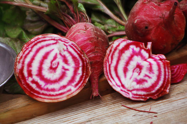 Red and white birds of prey - circular Section of large red radishes showing red and white circular patterns brassica rapa stock pictures, royalty-free photos & images