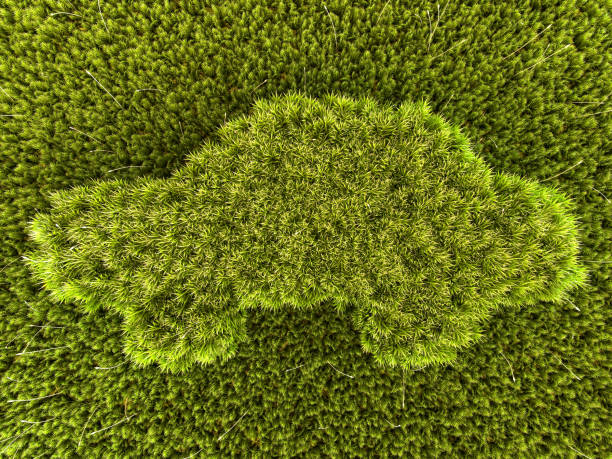 3d rendered image