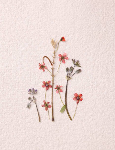 istock Little pastel flower bouquet 1006904218