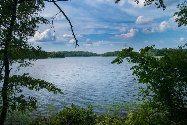 istock Summer  on the lake at sunny day. 1006916932