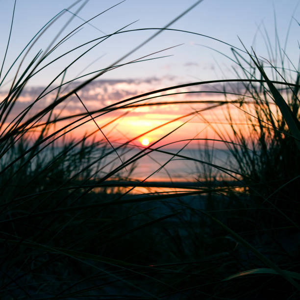 istock Denmark: Dreamlike sunset in the dunes 1006930508