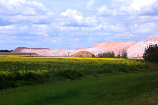 industria del potash e agricoltura di canola insieme - saskatoon saskatchewan prairie field foto e immagini stock