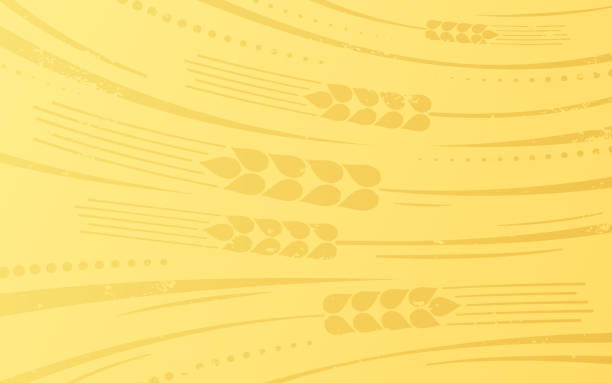 пшеница абстрактный сельскохозяйственный фон - golden wheat stock illustrations