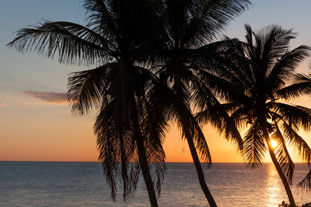 istock Sunset on paradise island 1006935024