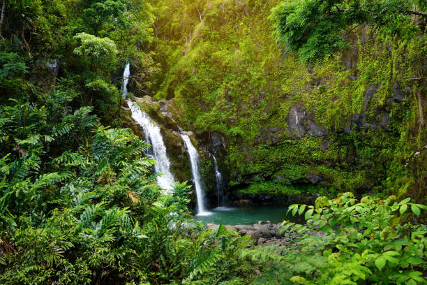 superior waikani falls también conocido como los tres osos, un trío de grandes saltos de agua entre rocas y exuberante vegetación con un agujero de la natación popular, maui, hawaii - hana fotografías e imágenes de stock