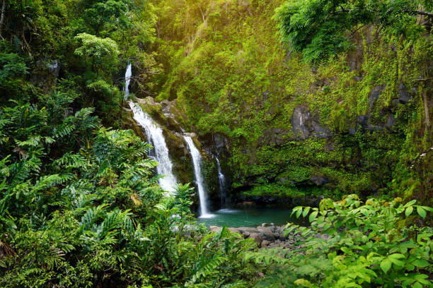 위 waikani 폭포 라고도 3 곰, 바위 및 대중적인 수영 구멍, 마우이, 하와이와 무성 한 식물 가운데 큰 폭포의 트리오 - maui hana hawaii islands landscape 뉴스 사진 이미지