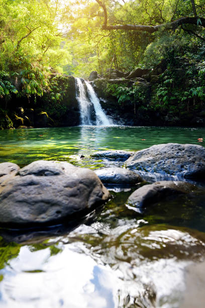 istock Tropical waterfall Lower Waikamoi Falls and a small crystal clear pond, inside of a dense tropical rainforest, off the Road to Hana Highway, Maui, Hawaii 1006967856