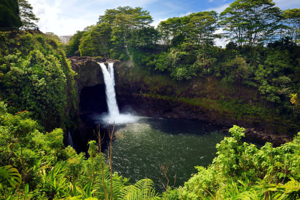 istock Majesitc Rainbow Falls waterfall in Hilo, Wailuku River State Park, Hawaii 1006967924