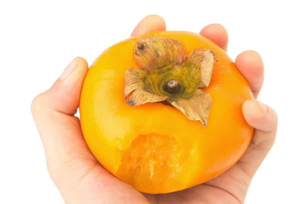 istock hand hold persimmon bite ripe fresh isolated on white background 1006968864