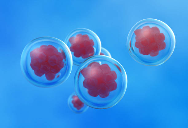 istock Cells under a microscope. Research of stem cells 1006968988