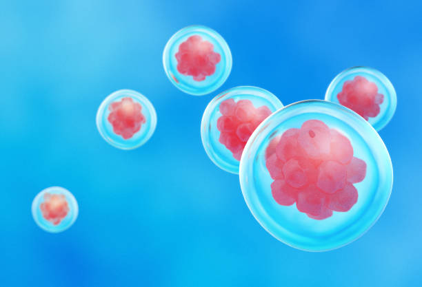 istock Cells under a microscope. Research of stem cells 1006968992