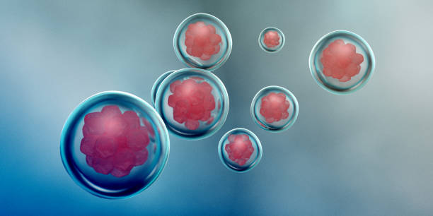 istock Cells under a microscope. Research of stem cells 1006969000