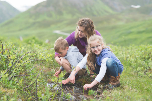 Mom looks for fish in a tiny Alaska stream with her two children