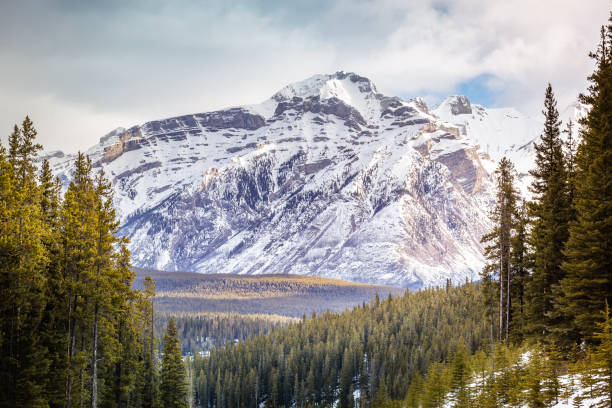 istock A road at Banff city, Alberta, Canada 1006976996