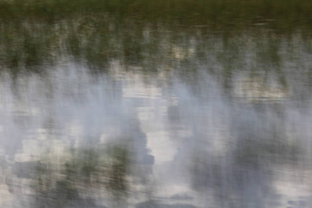 istock Everglades Reflection by Airboat 1006979038