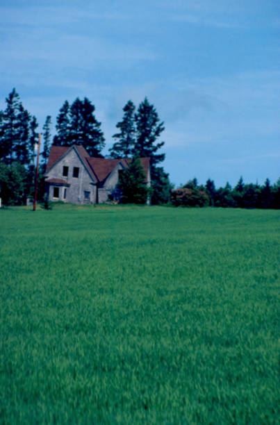 istock Old House on Prince Edward Island, Canada 1006981468