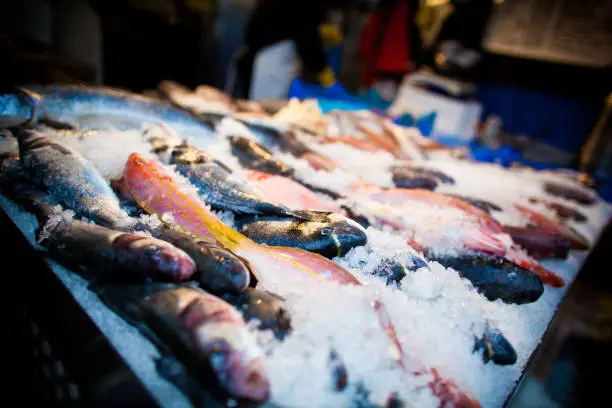 fish, in the ice, marketplace