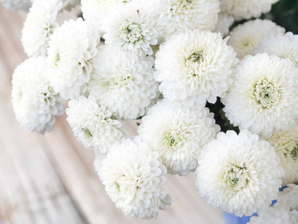 istock White chrysanthemum is a combined bouquet. 1007001582