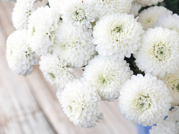 istock White chrysanthemum is a combined bouquet. 1007001584