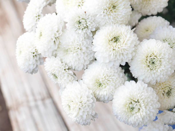 istock White chrysanthemum is a combined bouquet. 1007001598