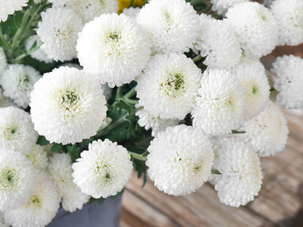 istock White chrysanthemum is a combined bouquet. 1007001614