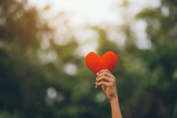 istock Heart in our little hands. 1007002034