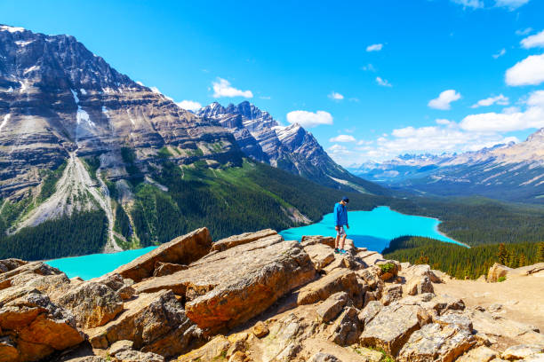 istock Peyto Lake in Banff National Park on Icefields Parkway 1007004802