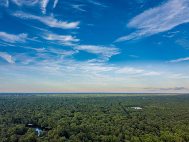 istock Panorama of the sky with clouds at late afternonn 1007009398