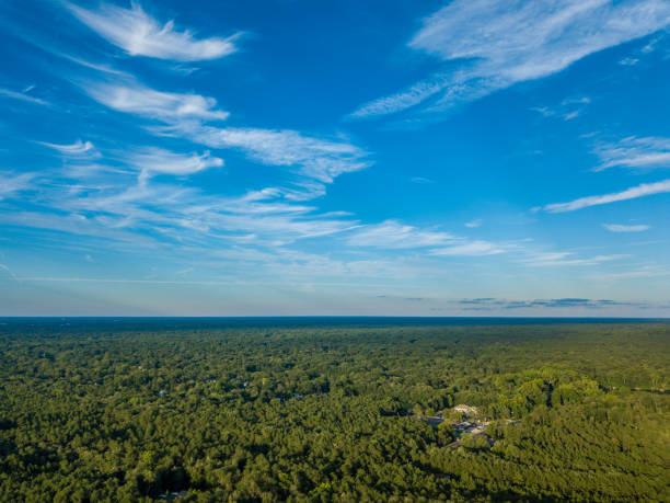 istock Panorama of the sky with clouds at late afternonn 1007009404