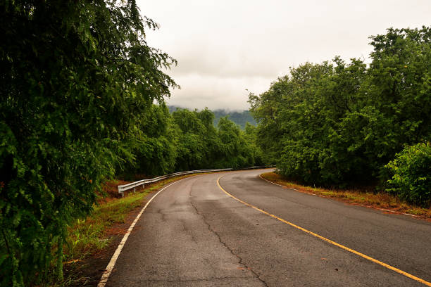 istock Curved road, slippery road, dangerous. 1007016814
