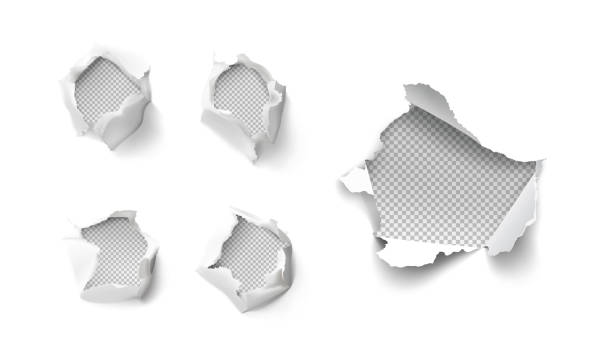 흰색 배경에 고립 된 종이에 현실적인 구멍의 세트. - cut or torn paper paper torn vector stock illustrations