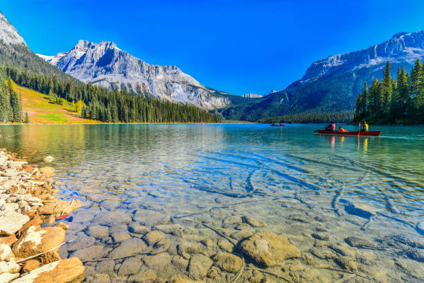 Emerald Lake in Canada Emerald Lake,Yoho National Park in Canada yoho national park photos stock pictures, royalty-free photos & images