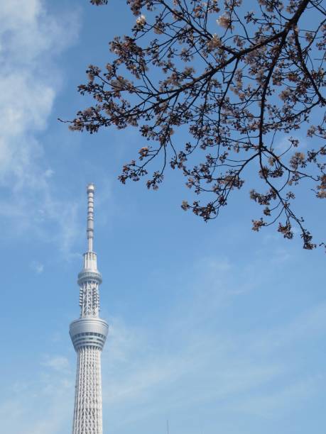 istock Tokyo sky tree Sumida ward Tokyo,Japan 1007052898