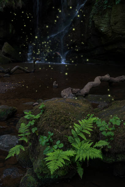 istock Beautiful waterfall landscape at dusk with fireflies glowing around foliage 1007056624