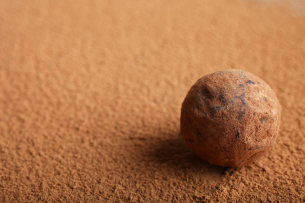 istock One candy truffle  on  cocoa powder 1007056686