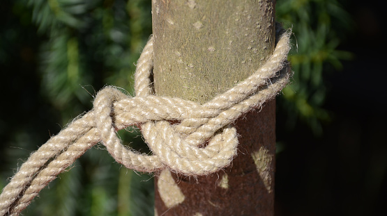 Double bowline hitch on a hemp rope.