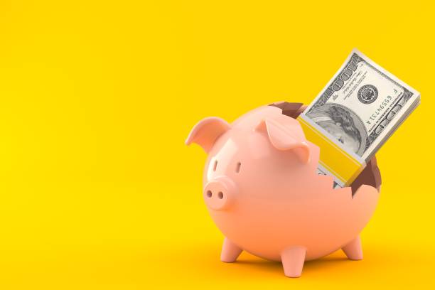 istock Piggy bank with money 1007069662
