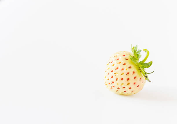 istock Fruit ,fresh pineberry or white strawberry 1007070156