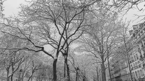 istock Paris under the snow, black and white 1007072810