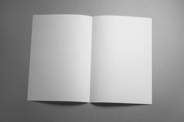 istock Blank brochure magazine isolated on gray 1007075002