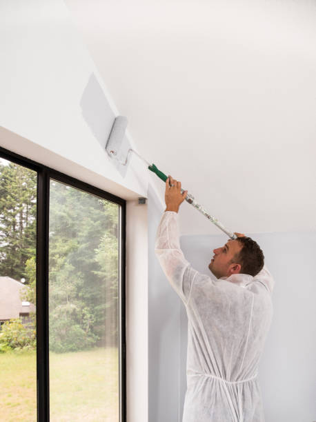 istock Man painting interior of home 1007077570