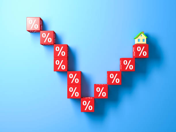 istock Abstract Miniature House And Red Percentage Blocks. 3d Illustration. 1007077898