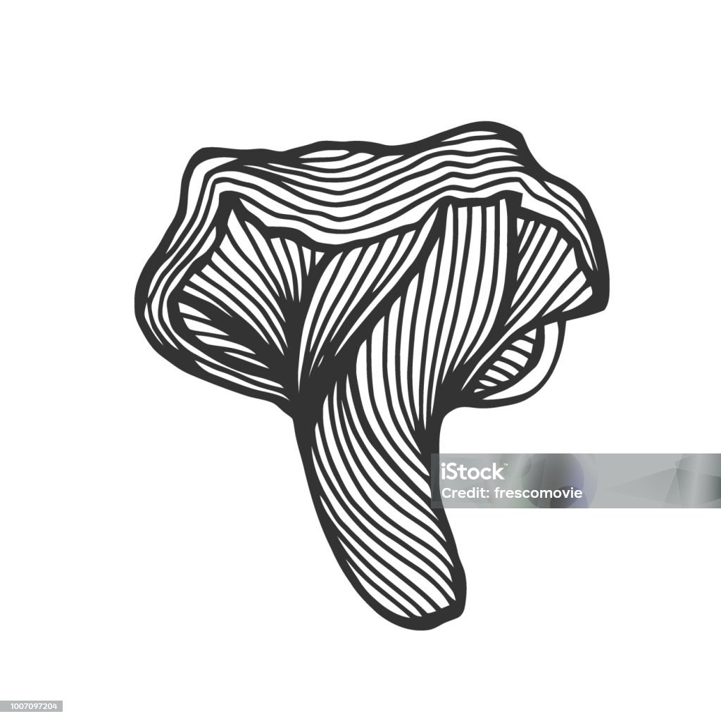 Hand drawn magic mushroom Hand drawn magic mushroom for adult anti stress Coloring Page with high details isolated on white background, illustration in drawne style. Vector monochrome sketch. Abstract stock vector