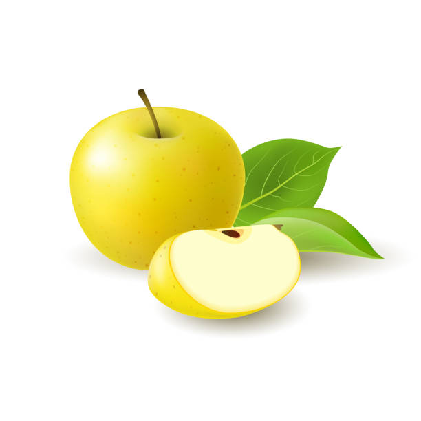 Ilustración de Rebanada De La Manzana Amarilla Color Realistas Aisladas Y Toda Jugosa Fruta Con Hojas De Color Verde Y La Sombra Sobre Fondo Blanco y más Vectores Libres de Derechos de Ilustración de Rebanada De La Manzana Amarilla Color Realistas Aisladas Y Toda Jugosa Fruta Con Hojas De Color Verde Y La Sombra Sobre Fondo Blanco y más Vectores Libres de Derechos de