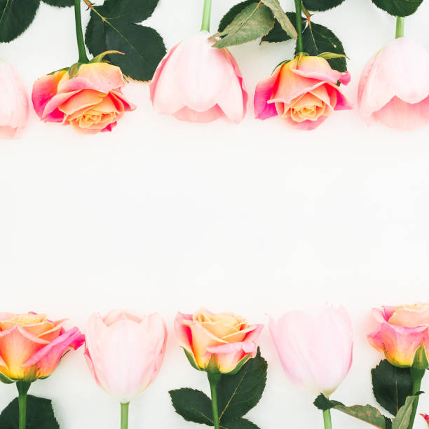 istock Round frame with pink flowers and leaves on white background. Flat lay, top view. 1007104776